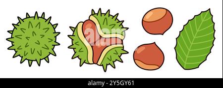 Set di scarabocchi disegnati a mano con castagne. Foglie, conchiglie e noci. Carino disegno di cartoni animati, illustrazione di clip art vettoriale. Illustrazione Vettoriale