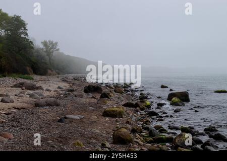 Nebbia sull'acqua e sulla spiaggia rocciosa in una giornata primaverile nel Mar Baltico nella Germania settentrionale. Foto Stock