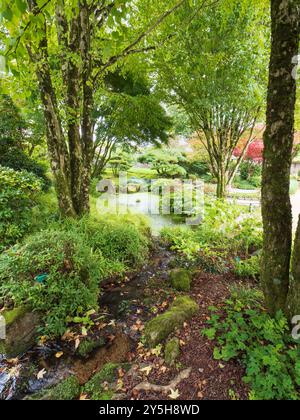 Vista del primo autunno del giardino giapponese progettato da Masao Fukuhara presso il Giardino Botanico Nazionale del Galles Foto Stock