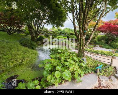 Vista del primo autunno del giardino giapponese progettato da Masao Fukuhara presso il Giardino Botanico Nazionale del Galles Foto Stock