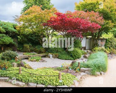 Vista del primo autunno del giardino giapponese progettato da Masao Fukuhara presso il Giardino Botanico Nazionale del Galles Foto Stock