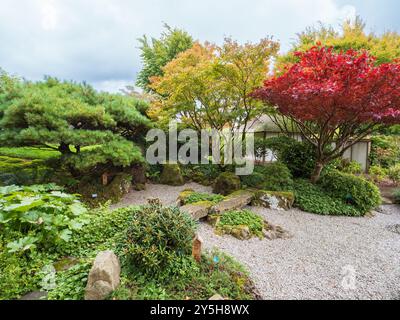 Vista del primo autunno del giardino giapponese progettato da Masao Fukuhara presso il Giardino Botanico Nazionale del Galles Foto Stock