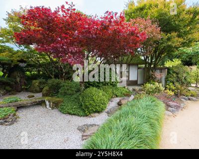 Vista del primo autunno del giardino giapponese progettato da Masao Fukuhara presso il Giardino Botanico Nazionale del Galles Foto Stock