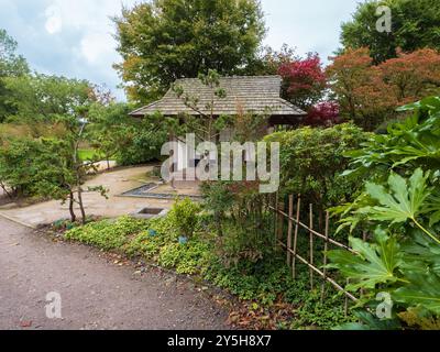 Vista del primo autunno del giardino giapponese progettato da Masao Fukuhara presso il Giardino Botanico Nazionale del Galles Foto Stock