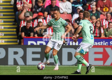 Sheffield, Regno Unito. 21 settembre 2024. L'attaccante della contea di Derby Jerry Yates (10) in azione durante la partita per il titolo EFL tra Sheffield United FC e Derby County FC a Bramall Lane, Sheffield, Inghilterra, Regno Unito il 21 settembre 2024 Credit: Every Second Media/Alamy Live News Foto Stock