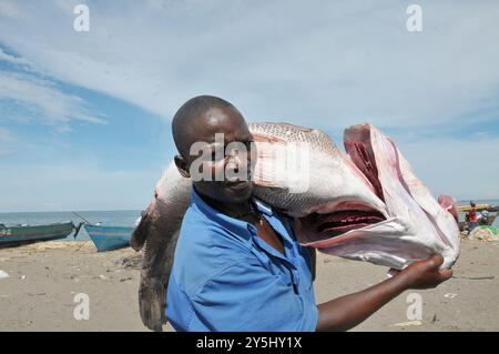 Un pescatore con pesce persico del Nilo nel lago Kasensero Victoria in Uganda Foto Stock