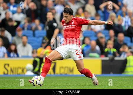 Durante la partita di Premier League tra Brighton e Hove Albion e Nottingham Forest all'American Express Community Stadium di Brighton e Hove domenica 22 settembre 2024. (Foto: Jon Hobley | mi News) crediti: MI News & Sport /Alamy Live News Foto Stock