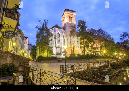 Cathédrale Saint-Pierre ad Annecy, alta Savoia, Rhône-Alpes, Francia Foto Stock