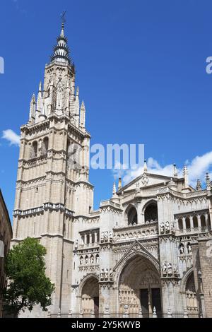 Cattedrale gotica con imponente campanile e architettura dettagliata contro un cielo blu, cattedrale, cattedrale di Santa Maria, Catedral de Santa Maria, to Foto Stock