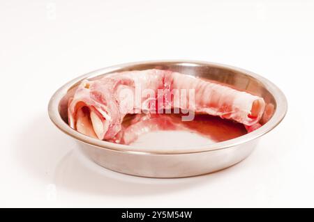 Faringe, trachea con laringe per l'alimentazione cruda Foto Stock