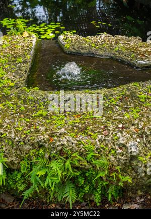 Questa immagine mostra un tranquillo giardino con una piccola fontana circondata da lussureggianti felci e rocce coperte di muschio, creando un ambiente sereno e rilassato Foto Stock