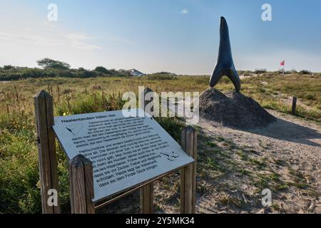 Scultura di un dente di squalo fossilizzato di fronte all'hotel Noordzee a Cadzand, in Zelanda, nei Paesi Bassi. Molti fossili di denti di squalo si trovano qui Foto Stock