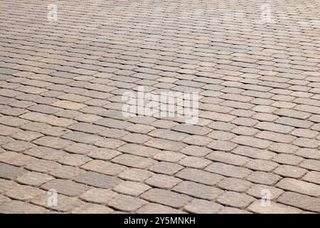 Questa immagine presenta una vista dettagliata di un pavimento in mattoni che mostra un interessante e intricato schema diagonale su tutta la sua superficie Foto Stock