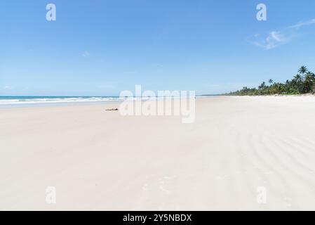 Itacare, Bahia, Brasile - 30 novembre 2019: Un turista si diverte al sole forte, sulla sabbia di una spiaggia nella città di Itacare, Bahia. Foto Stock