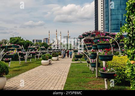 Vista sulla città del parco dei fiori. Arco floreale con giardini di piante di petunia. Un numero enorme di vasi di fiori su supporti metallici. Foto Stock