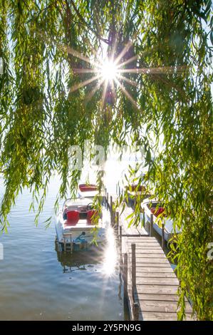 Attracco delle barche a Herrsching am Ammersee in retroluce, Baviera, Germania, Europa Foto Stock