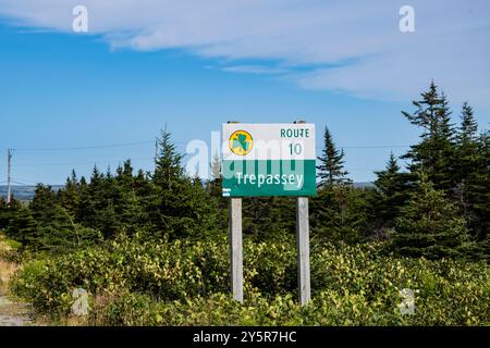 Segui le indicazioni per la Route 10 a Trepassey, Terranova e Labrador, Canada Foto Stock