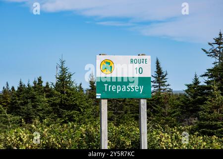 Segui le indicazioni per la Route 10 a Trepassey, Terranova e Labrador, Canada Foto Stock