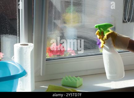Donna che indossa guanti di gomma che lava la finestra in casa. Pulizia e pulizia, detergenti. Foto Stock