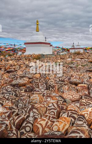 Ciottoli del lago sacro Manasarovar con geroglifici e mantra buddista principale Om mani Padme Hum , che può essere tradotto come Oh Jewel in The Lotus FL Foto Stock