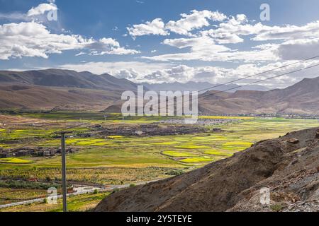 Vista su Sakya e la fioritura dei semi di colza nel Tibet centrale, cielo al tramonto con spazio copia Foto Stock