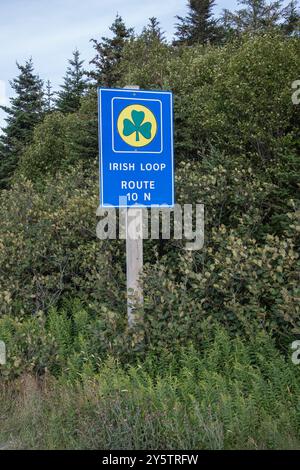 Irish Loop Route 10 direzione nord, insegna a Cape Broyle, Terranova e Labrador, Canada Foto Stock