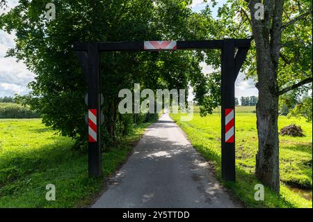 Una tranquilla strada di campagna costeggiata da alberi e vegetazione invita a esplorare sotto un cielo luminoso. Foto Stock
