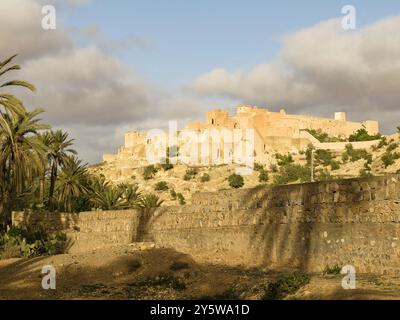 Kasbah berbera, pueblo di Tioute, Valle di Sous, Antiatlas, Marocco Foto Stock