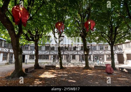 Aitre Saint-Maclou nel centro di Rouen, Francia. Charnel House medievale costruita intorno a un cortile, dove i corpi furono sepolti durante la peste della peste nera. Foto Stock