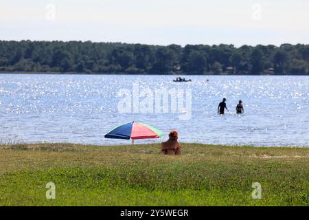 Sulle rive del lago Lacanau in Gironde, nel sud-ovest della Francia. Calma, natura, campagna, ambiente. Lacanau, Médoc, Gironde, Nouvelle Aquitai Foto Stock