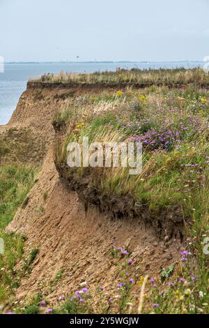 Scogliere ricoperte sul Mar Baltico a Heiligenhafen, Schleswig-Holstein, Germania. L'ultima ondata di tempesta nel 2023 ha ulteriormente spazzato via le scogliere. Foto Stock