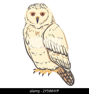 Gufo bianco seduto sulla panchina. Illustrazione del vettore di uccello. Illustrazione Vettoriale