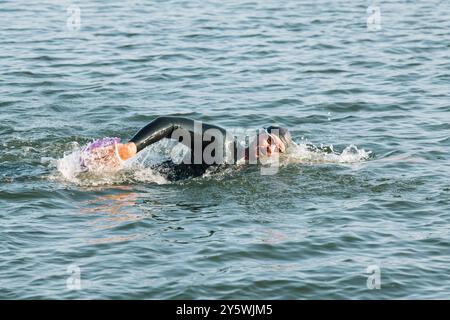 Allenamento di nuoto svedese nel mar baltico Foto Stock