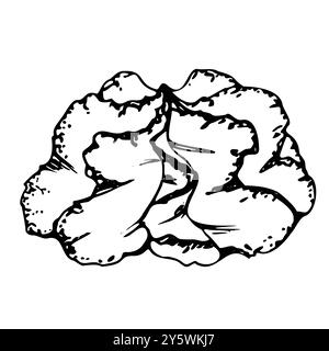 Condimenti di cibo giapponese per sushi sashimi, pasta di wasabi, condimento speziato vegano vegetariano, macchia di spruzzi disegnata a mano in penna vettoriale, inchiostro. Illustrazione per Illustrazione Vettoriale