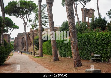 Antiche rovine circondate da vegetazione lussureggiante e alti alberi lungo un sentiero Foto Stock