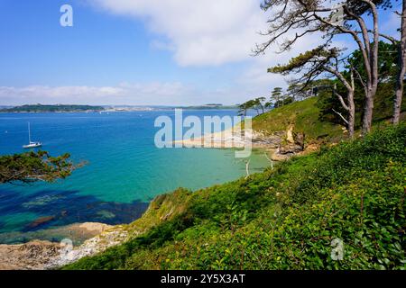 Sulla St Anthony Head, attraversa le acque cristalline dell'estuario del fiume Fal fino a Falmouth. Foto Stock