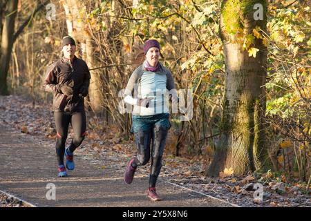 Due adulti che fanno jogging su un sentiero nella foresta illuminato dal sole in autunno. Foto Stock