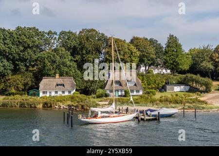 Barche a vela sulla Schlei vicino Rabelsund. Due case con tetti di paglia sullo sfondo. Rabelsund. Königsberger Ring, Kappeln, Schleswig-Holstein, Germania Foto Stock