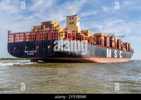 Nave container MSC Sveva sull'Elba vicino a Glückstadt. Drochtersen, bassa Sassonia, Germania Foto Stock