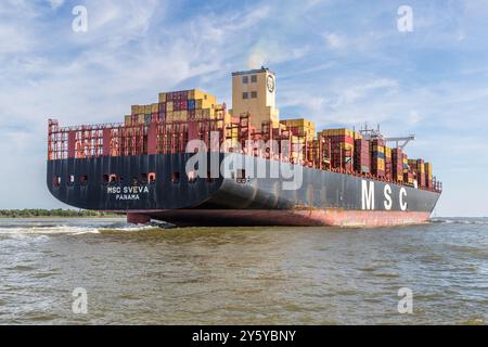 Nave container MSC Sveva sull'Elba vicino a Glückstadt. Drochtersen, bassa Sassonia, Germania Foto Stock