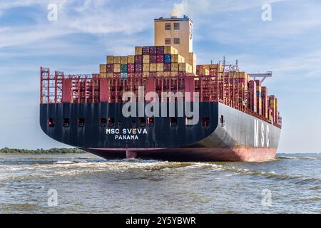 Nave container MSC Sveva sull'Elba vicino a Glückstadt. Drochtersen, bassa Sassonia, Germania Foto Stock