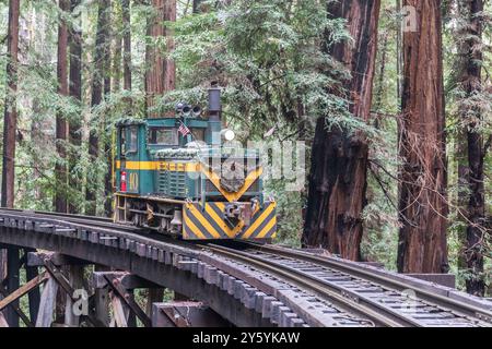 Felton, California - 29 dicembre 2019: Roaring Camp Railroads' Plymouth Locomotive Diesel Shunter Crossing Redwoods in Santa Cruz Mountains. Foto Stock