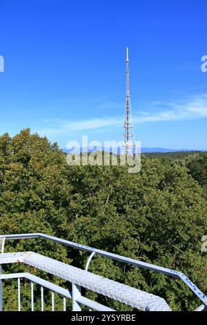 Torre di telecomunicazione Belvedere con amplificatori di segnale per comunicazioni mobili e antenne a Mulhouse, Alsazia in Francia Foto Stock