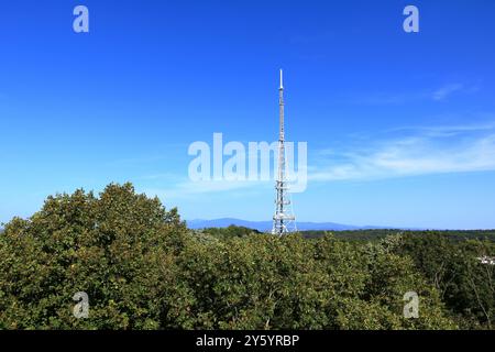 Torre di telecomunicazione Belvedere con amplificatori di segnale per comunicazioni mobili e antenne a Mulhouse, Alsazia in Francia Foto Stock