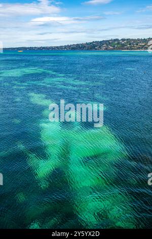 Diverse tonalità di luce e colore nelle acque turchesi del Lago di Ginevra, Svizzera. Sfondo. Foto Stock