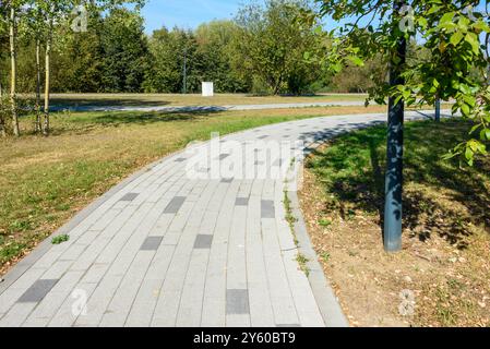 Un sentiero pedonale fatto di lastre di pavimentazione sullo sfondo di un prato ben tenuto. Una passeggiata nel parco. Foto Stock