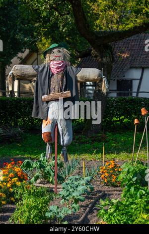 Spaventapasseri umanoidi / spaventapasseri di uccelli vestiti con vecchi vestiti e messi in orto per scoraggiare / cacciare gli uccelli dal nutrirsi delle verdure Foto Stock