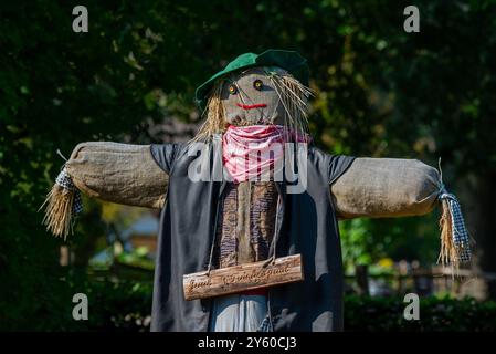 Spaventapasseri umanoidi / spaventapasseri di uccelli vestiti con vecchi vestiti e messi in orto per scoraggiare / cacciare gli uccelli dal nutrirsi delle verdure Foto Stock