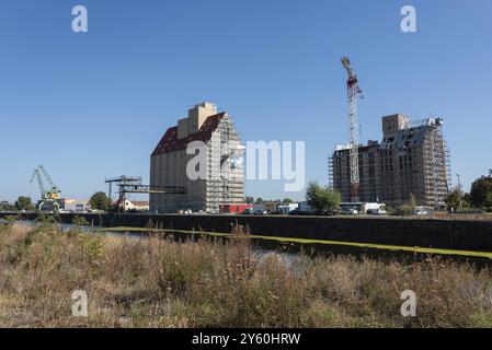 Vecchio silo, magazzino, gru di fronte, porto della scienza di Magdeburgo, Sassonia-Anhalt, Germania, Europa Foto Stock