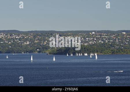 Alcune barche a vela galleggiano tranquillamente sull'acqua, di fronte a un paesaggio urbano collinare sotto un cielo limpido, Oslofjord, capitale, Oslo, Norvegia, Europa Foto Stock